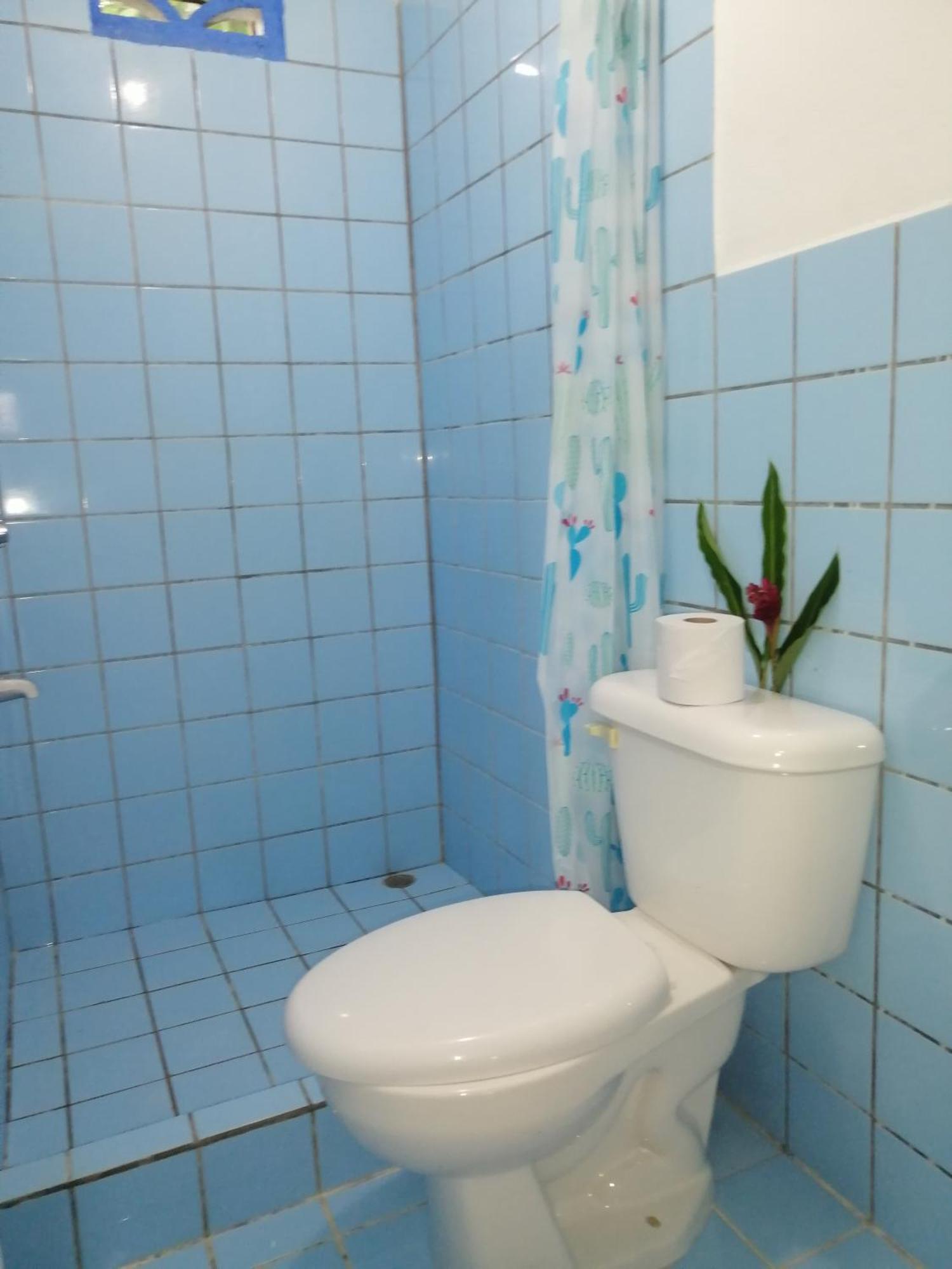 Rooms Palmeras Кахуіта Екстер'єр фото